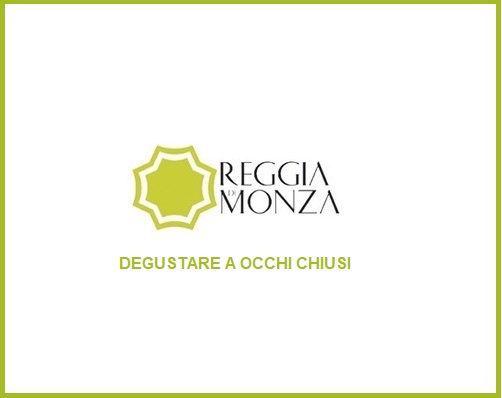 Immagine grafica del Logo della reggia di monza con ottagono verde su campo bianco